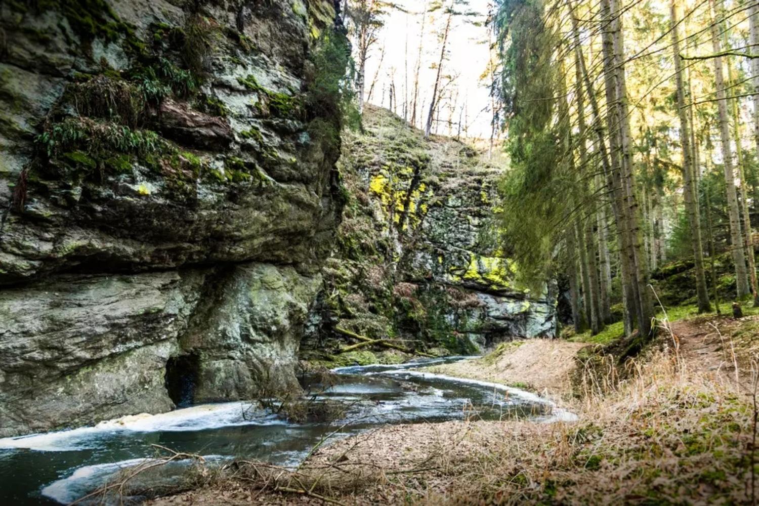 Willa Wellness Srub U Holubu Malsice Zewnętrze zdjęcie